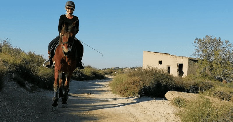 Hevonen – hieno terapeutti ja kunto-ohjaaja